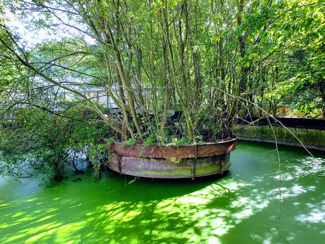 Natuurpark Kronenkamp