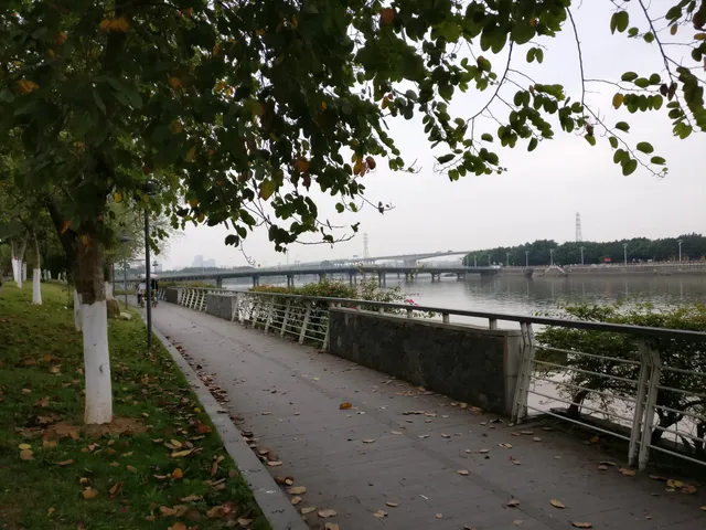 Yingzhou Ecological Park