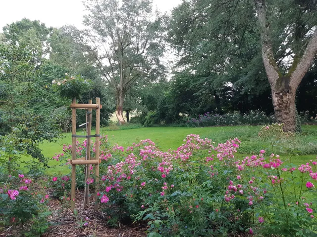 Roseraie de Lassay-les-Châteaux