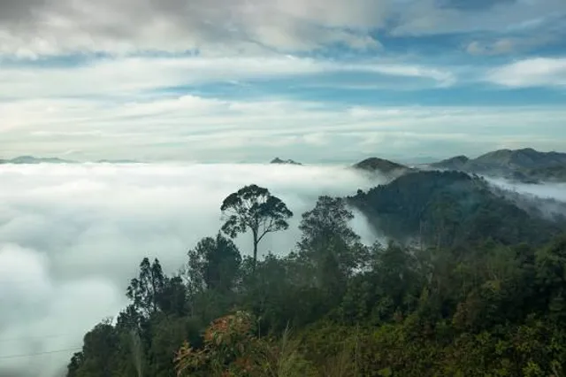 Sea of Mist Gunung​ Silipat​