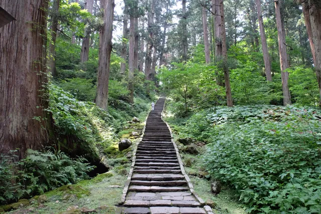 Mt. Haguro's cedar avenue
