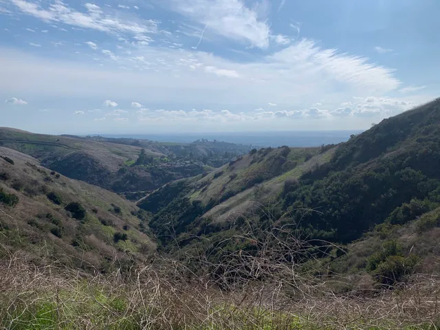 Turnbull Canyon