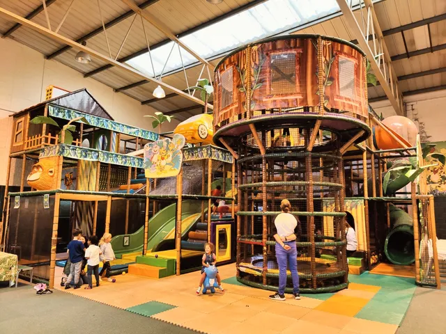 Jungle Mania Woodley