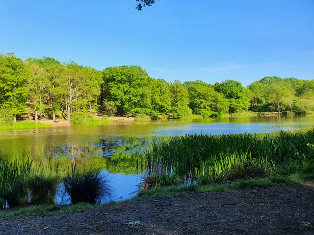 Thorndon Country Park South