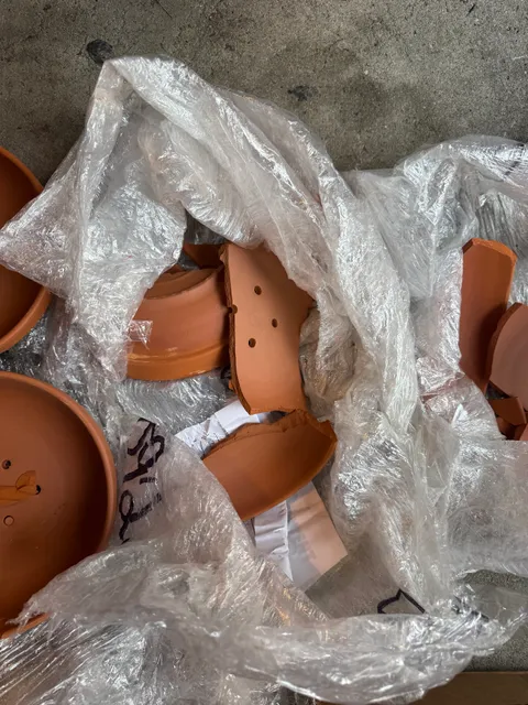 Global Pigeon Supply Inc