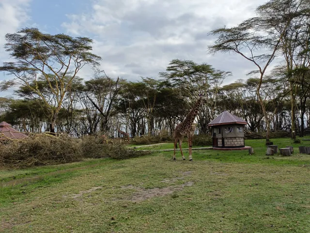 Lake Naivasha Hippo Camp & Wildlife Sanctuary