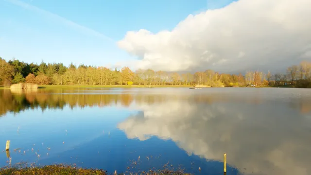 Forellensee Dorotheental