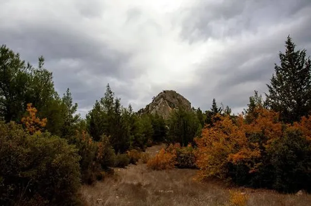 Mount Margaret Trailhead