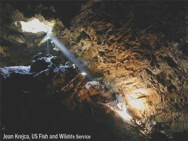Goat Cave Karst Nature Preserve