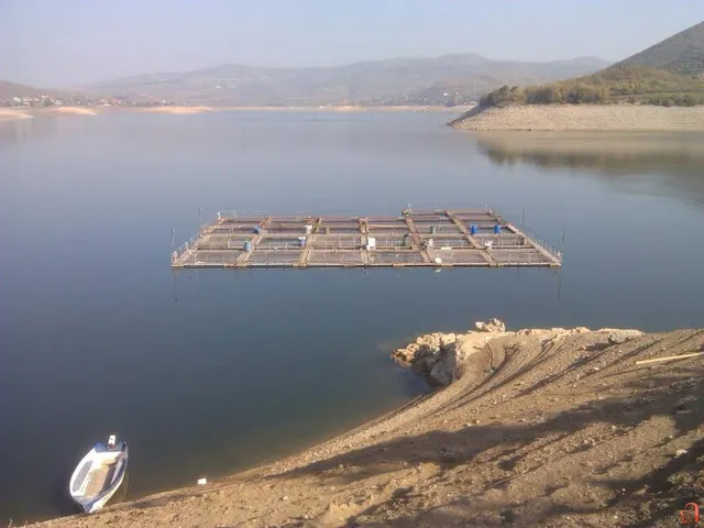 Municipality of Kavadarci