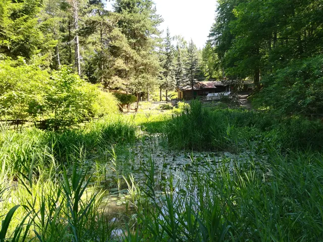 Il Giardino Alpino di Pietra Corva