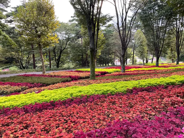 公園・庭園樹園(こもれび花畑)