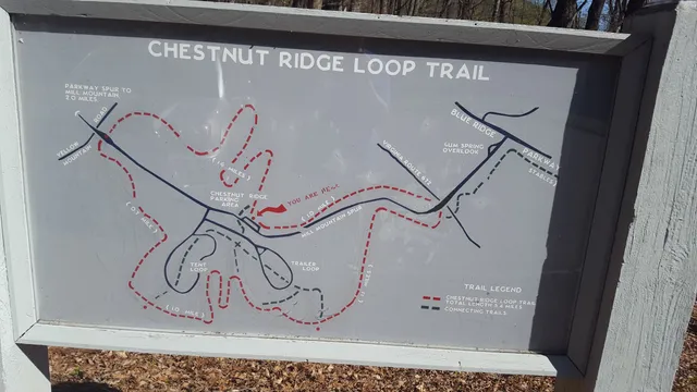 Chestnut Ridge Trail