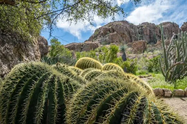 Boyce Thompson Arboretum