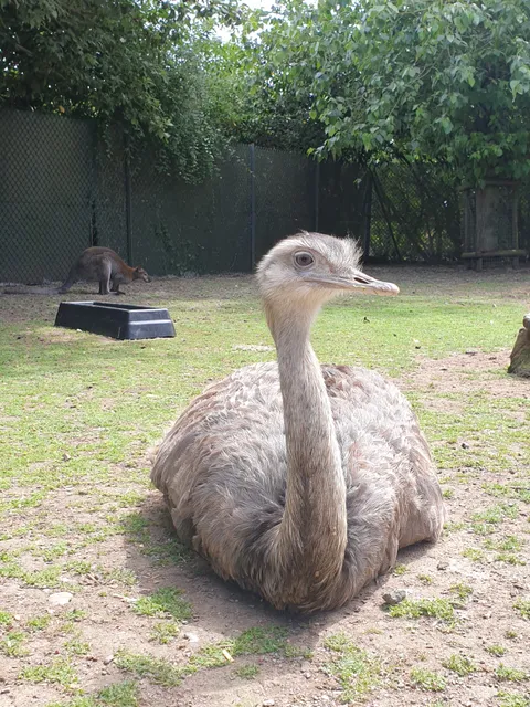 Call Of The Wild Zoo