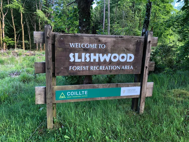 Slishwood Forest