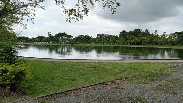 Samanes Park - Picnic Area