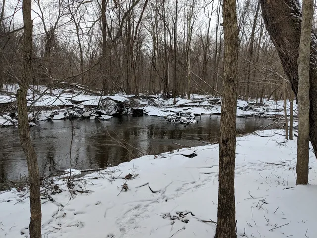 Black River Preserve