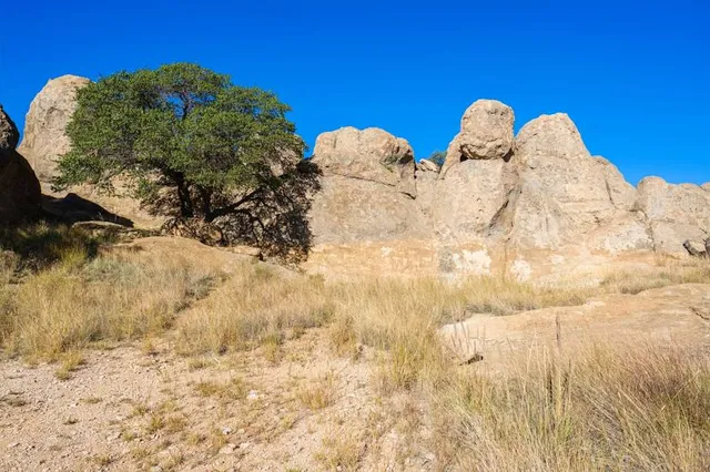 City of Rocks State Park