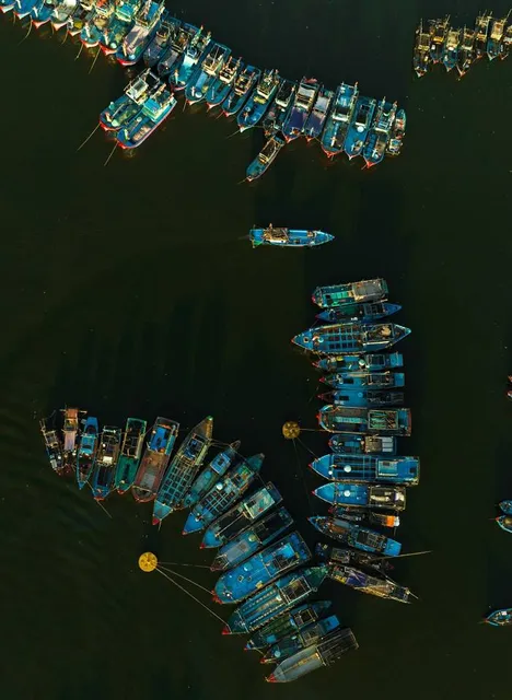 Tho Quang Fishing Port