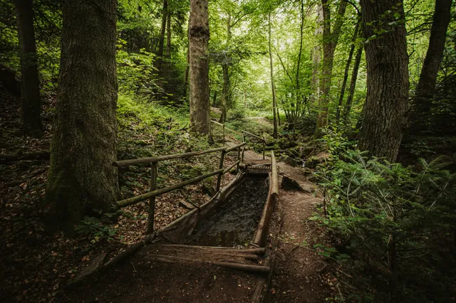 Barefoot Hiking Trail Zellweierbach