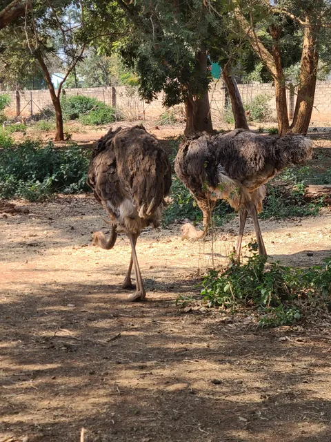 Munda Wanga Botanical gardens