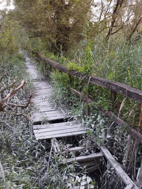 Váci ártéri Tanösvény