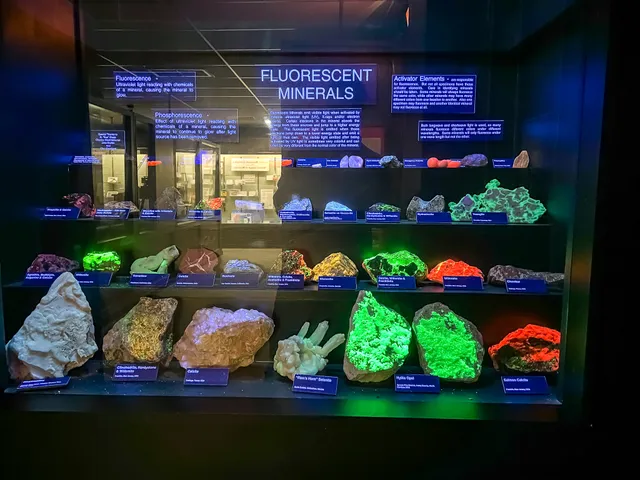 Joplin History & Mineral Museum