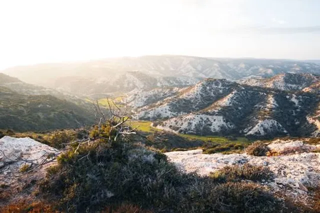 Genesis Aphrodite’s Trail