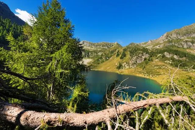 Lago de Calabazosa o Negro