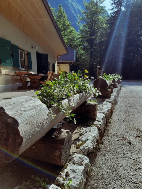 Koča pri Savici (653 m)