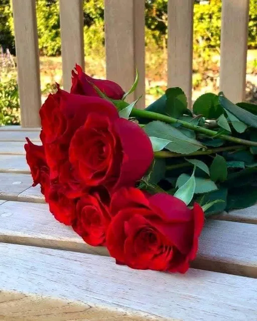 Polokwane Art Museum