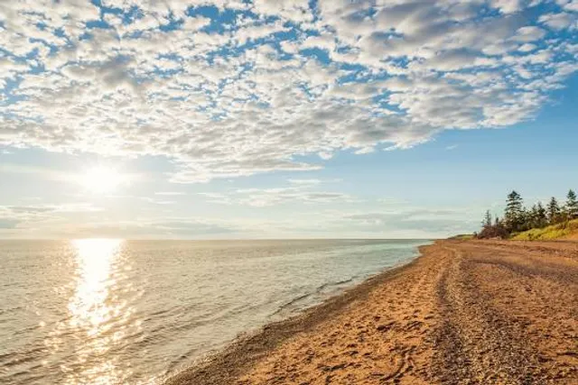 Cedar Dunes Provincial Park