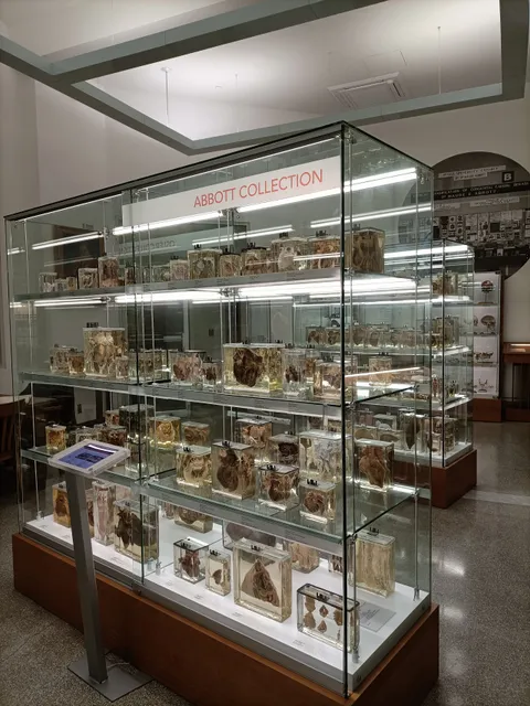 Maude Abbott Medical Museum