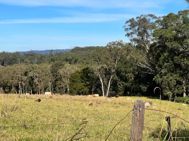 Caboolture to Wamuran Rail Trail Caboolture Entry