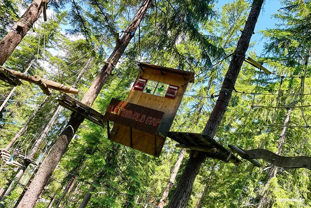 Kletterwald