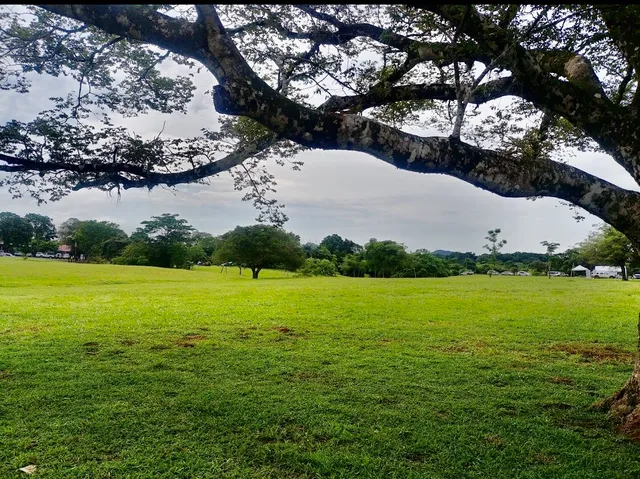 Recreativo Santiago Apóstol Park