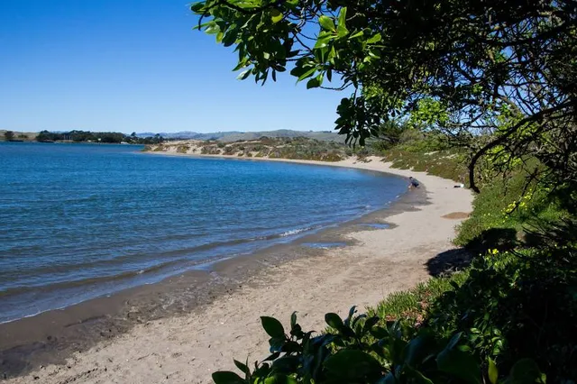 The Links at Bodega Harbour