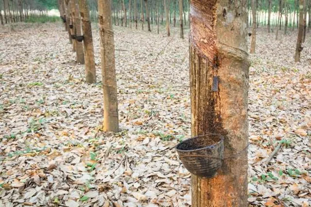 Silver Lake State Park