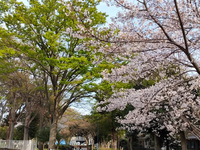 Shimin-no-Mori Sports Park
