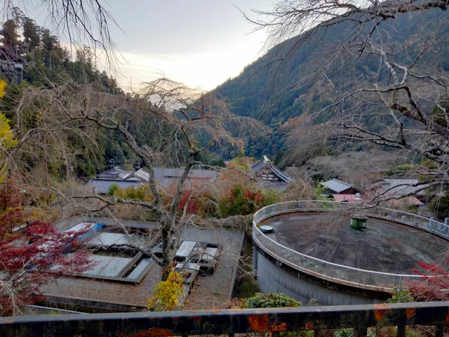 photo-1