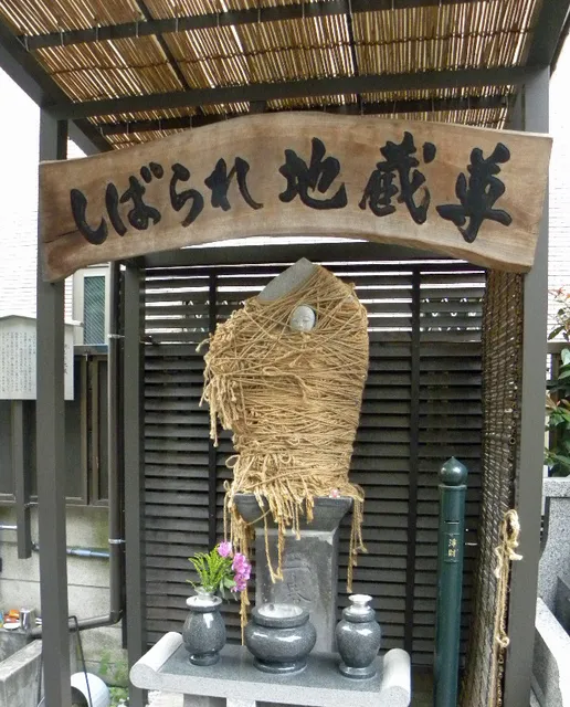 林泉寺・茗荷谷陵苑・縁の園