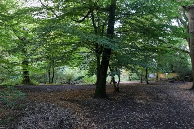 photo-3
