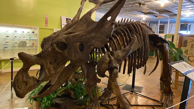 Buena Vista Museum of Natural History & Science