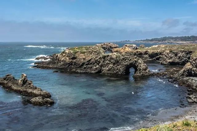 Van Damme State Beach