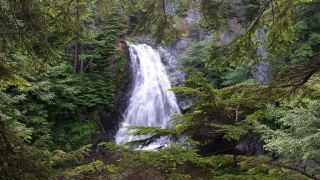 Moore's Creek Falls