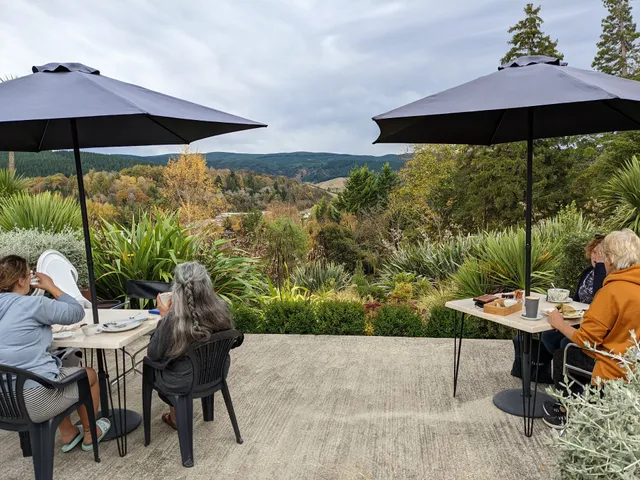 Tonix Boutique Accommodation