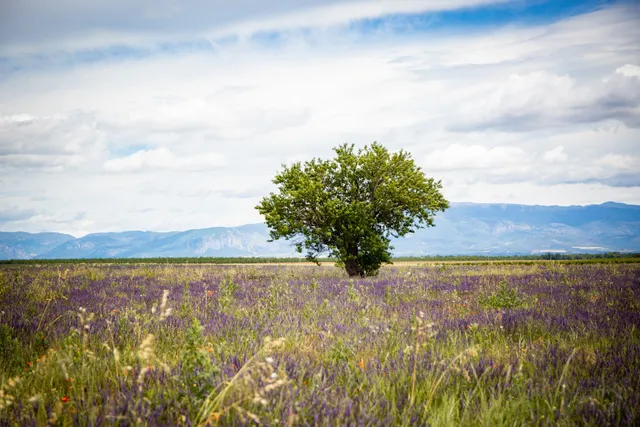 La Petite Campagne : Gîtes à la ferme
