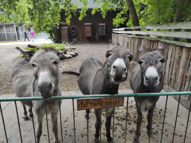 Tiergehege Bitterfeld