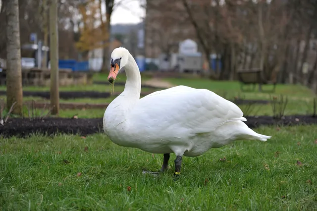 Espace Muséologique Lasauvage